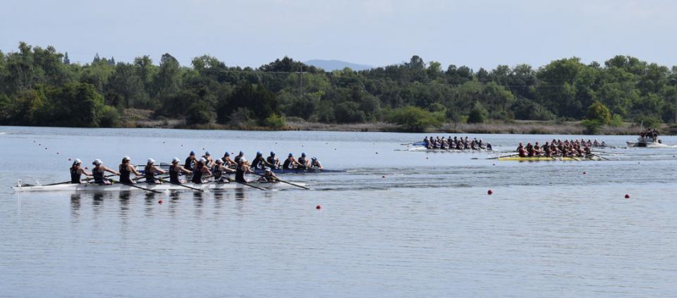 people rowing on Lake Natoma