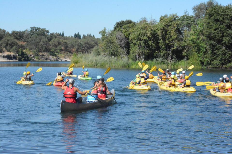 people paddling