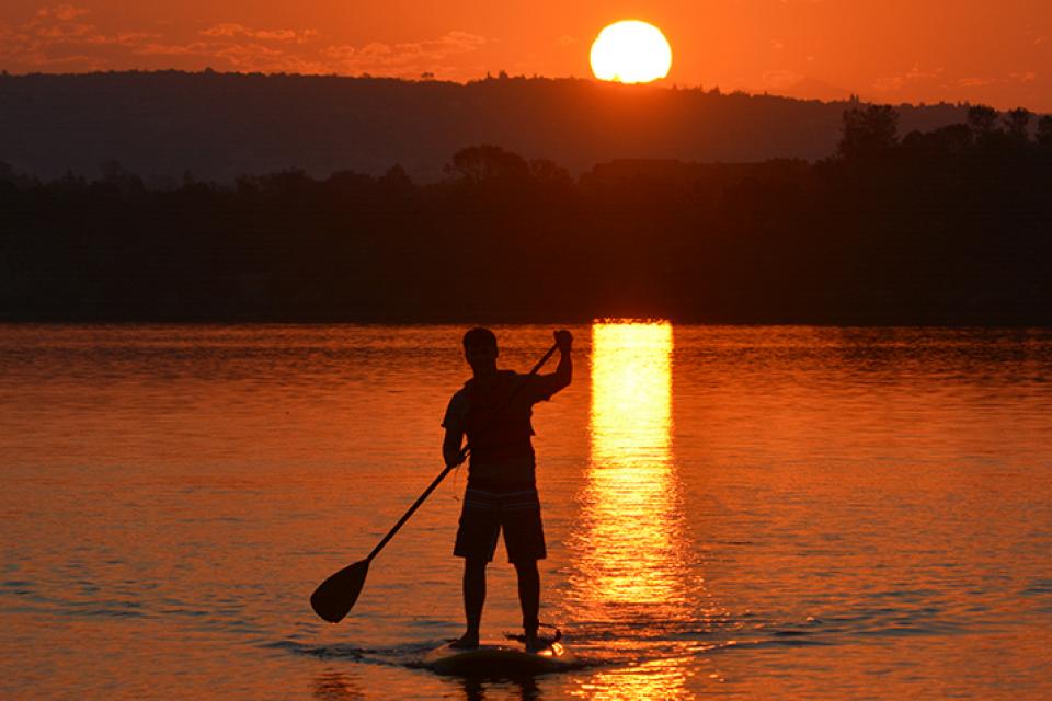 sunset stand up paddler