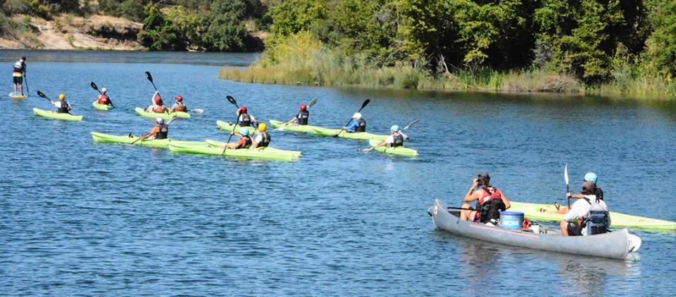 people paddling in kayaks on the water